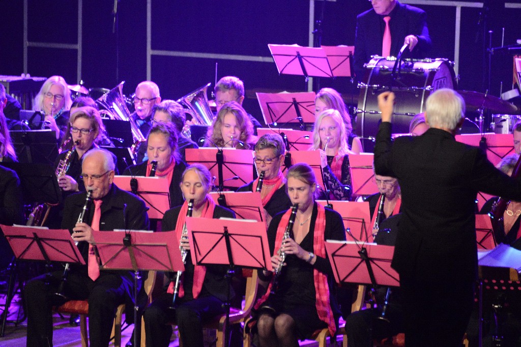 ../Images/Jubileumconcert 100 jaar Harpe Davids 050.jpg